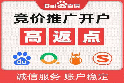 百度推广优化策略：成功案例解析